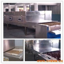 食品微波干燥设备 高效节能的现代干燥解决方案