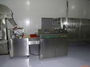 过硫酸钾干燥设备在药化设备中的应用与关键考量